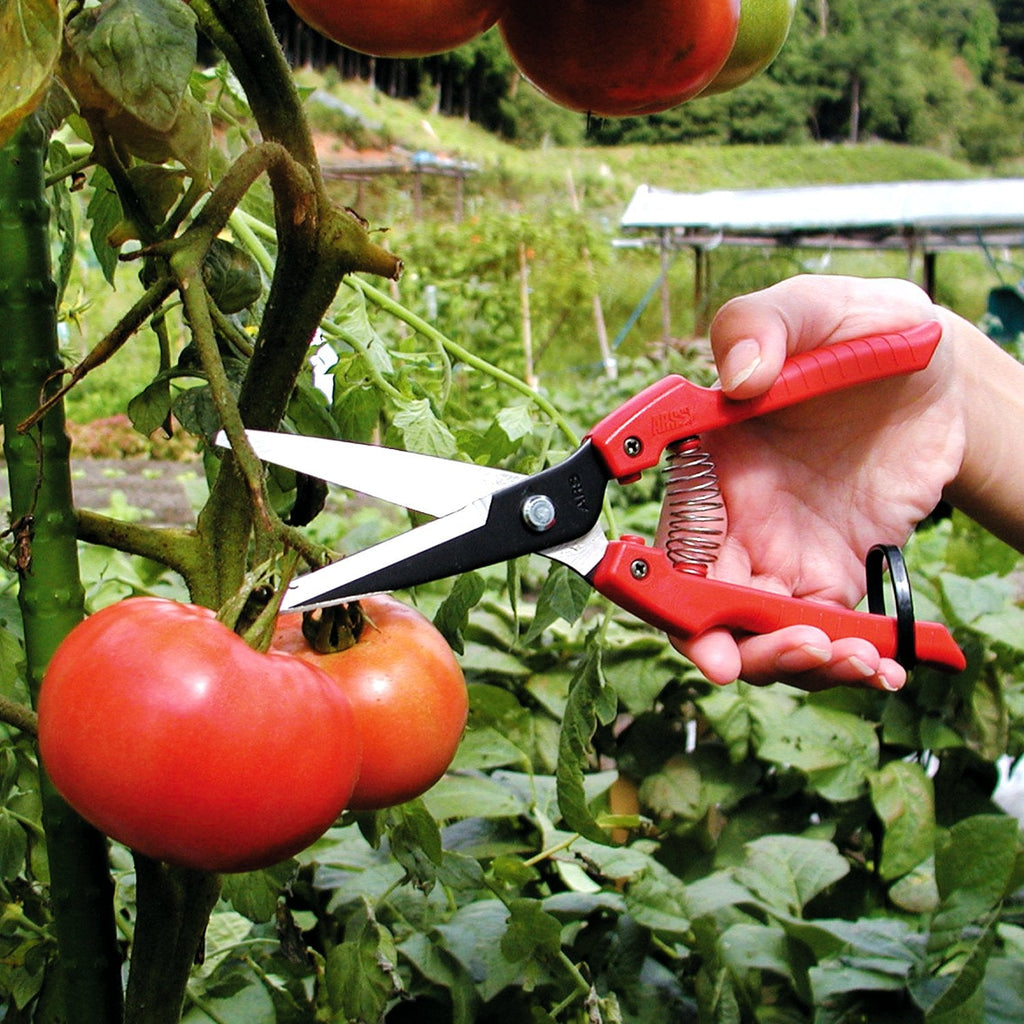 Ars Corporation SE-65 Fruit and Vegetable Scissors with Replacement Blades (Boxed)
