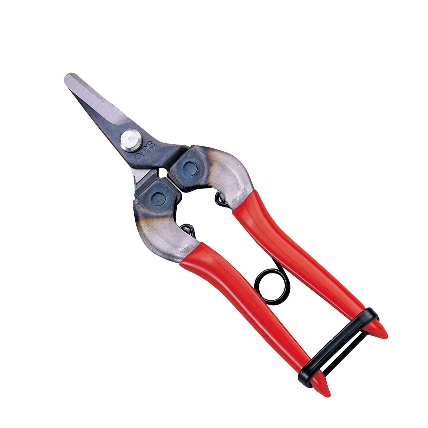 Ars Corporation Fruit Picking Shears 310 (Box)