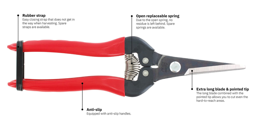 Ars Corp Fruit Thinning Shears L 300L (Box)