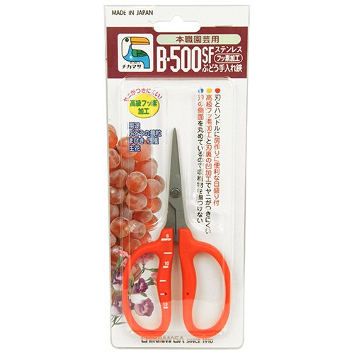 Chikamasa B-500Sf Grape Shears, Stainless Steel, Fluorine Treatment